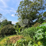 Terreno à venda no condomínio Gleba B1, Mairiporã - SP
