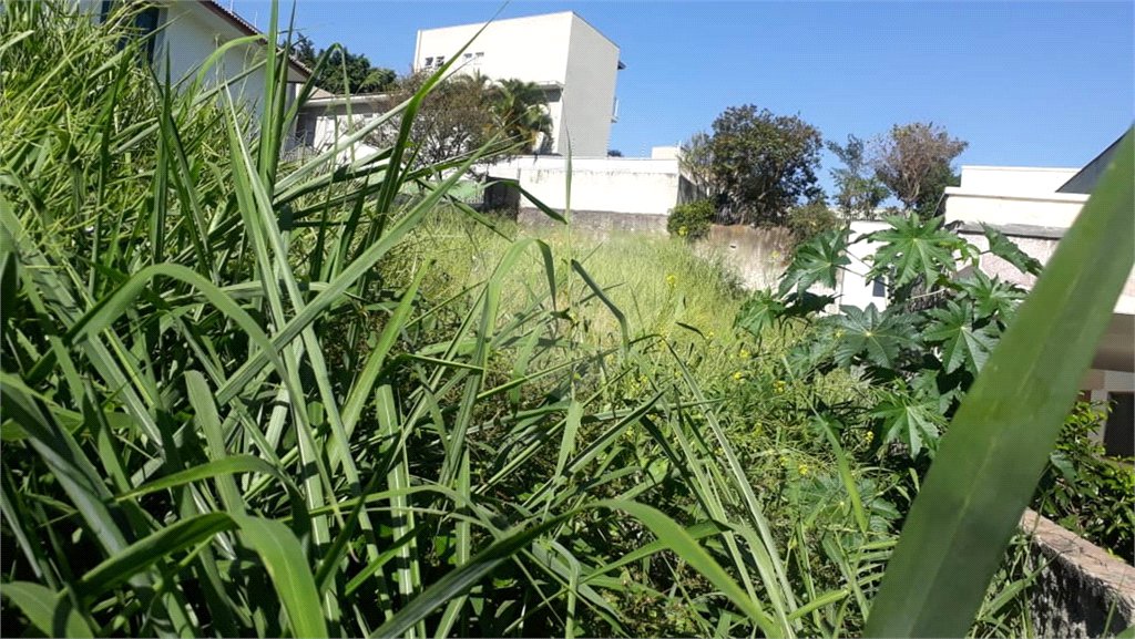 Terreno à venda em Jardim São Bento, São Paulo, SP