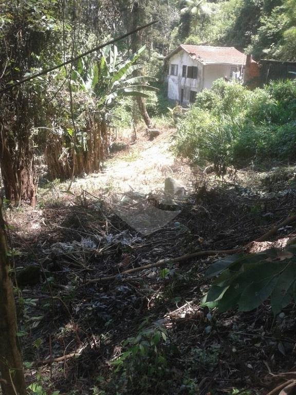 Casa Térrea à venda com 3 quartos em Vila Maria Alta, São Paulo, SP
