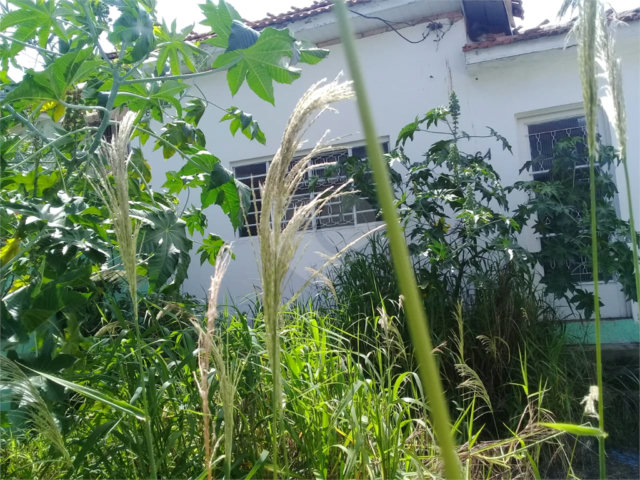 Terreno à venda em Tucuruvi, São Paulo, SP