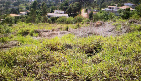 Terreno à venda em Pouso Alegre, Mairinque, SP