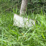 Terreno à venda no condomínio Brisa 1, Mogi das Cruzes - SP