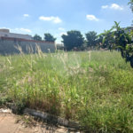 Terreno à venda em Portal dos Pinheiros Ii, Itapetininga, SP