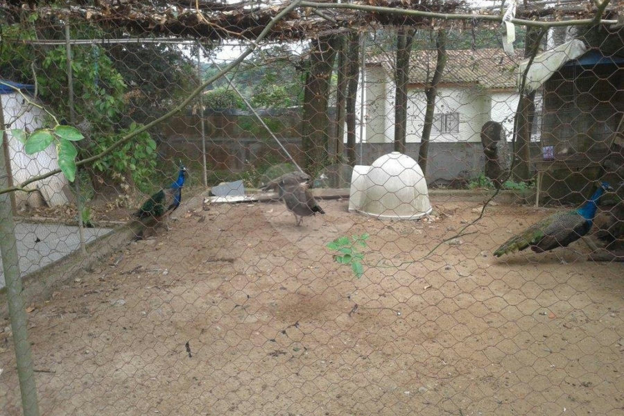 Terreno à venda em Horto Florestal, São Paulo, SP