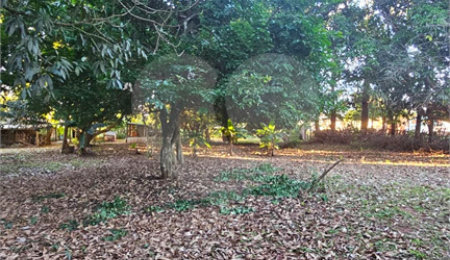 Terreno à venda em Jardim dos Estados, Ponta Porã, MS
