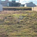Terreno à venda em Loteamento Residencial Golden Ville, Itapetininga, SP
