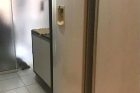 Apartamento à venda com 3 quartos, sendo 2 suítes,  em Jardim Arpoador, São Paulo, SP