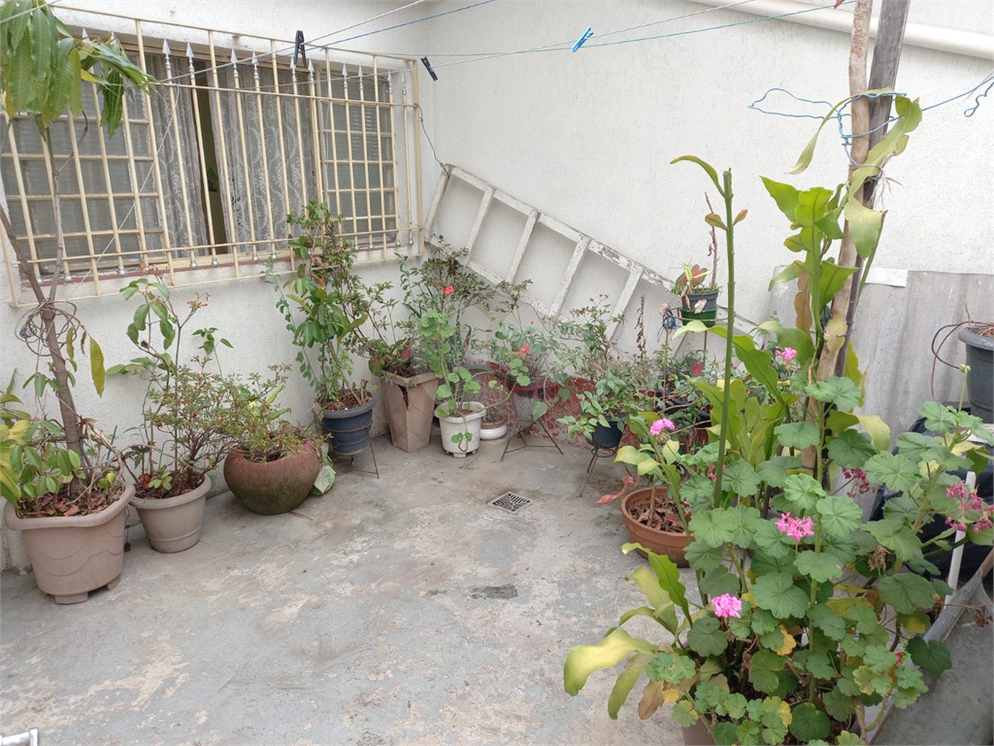 Casa de Vila à venda com 2 quartos em Vila Gustavo, São Paulo, SP
