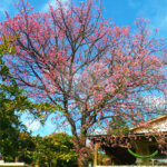Chácara à venda com 4 quartos em Jardim Arujá, Arujá, SP
