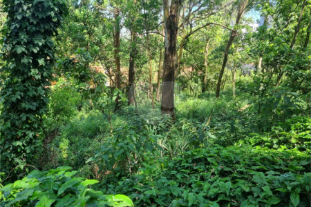 Terreno à venda no condomínio Horto do Ypê, São Paulo - SP