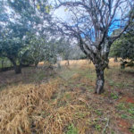 Terreno à venda em Portal da Figueira, Itapetininga, SP