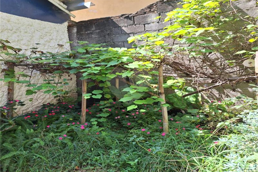 Casa à venda com 3 quartos em Perdizes, São Paulo, SP