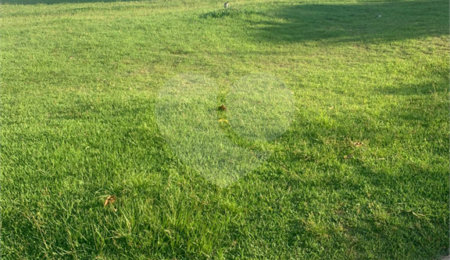 Terreno à venda no condomínio Residencial Alto de Itaici, Indaiatuba - SP