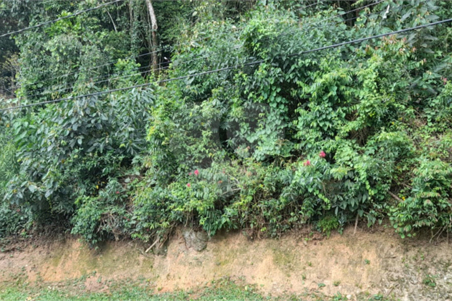 Terreno à venda no condomínio Parque Imperial da Cantareira, Mairiporã - SP
