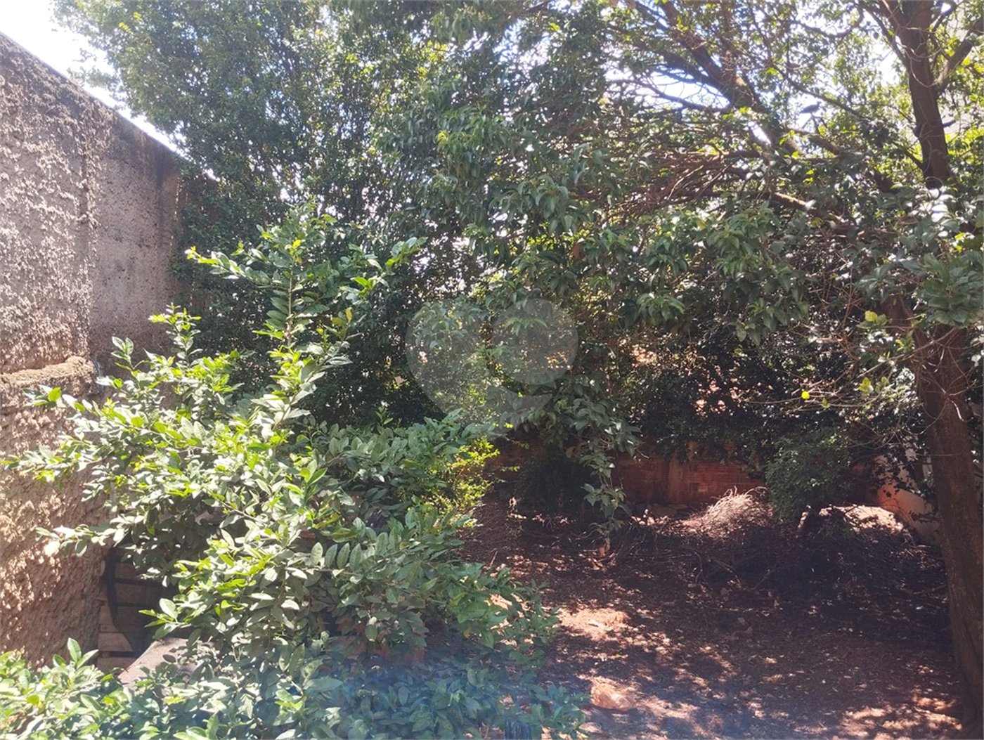 Casa à venda com 3 quartos em Jardim Santa Lúcia, Araraquara, SP