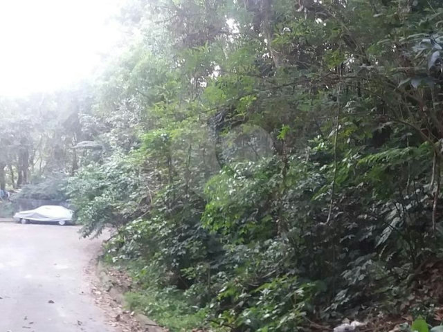 Terreno à venda em Tucuruvi, São Paulo, SP