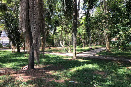 Terreno à venda em Lar São Paulo, São Paulo, SP