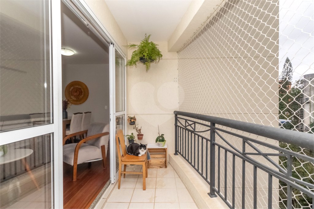 Apartamento à venda com 3 quartos, sendo 1 suíte, em Vila Sofia, São Paulo, SP