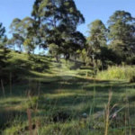 Área de Terra à venda em Alto da Serra (mailasqui), São Roque, SP