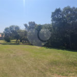 Chácara à venda com 3 quartos, sendo 1 suíte, em Vila Reis, Itapetininga, SP