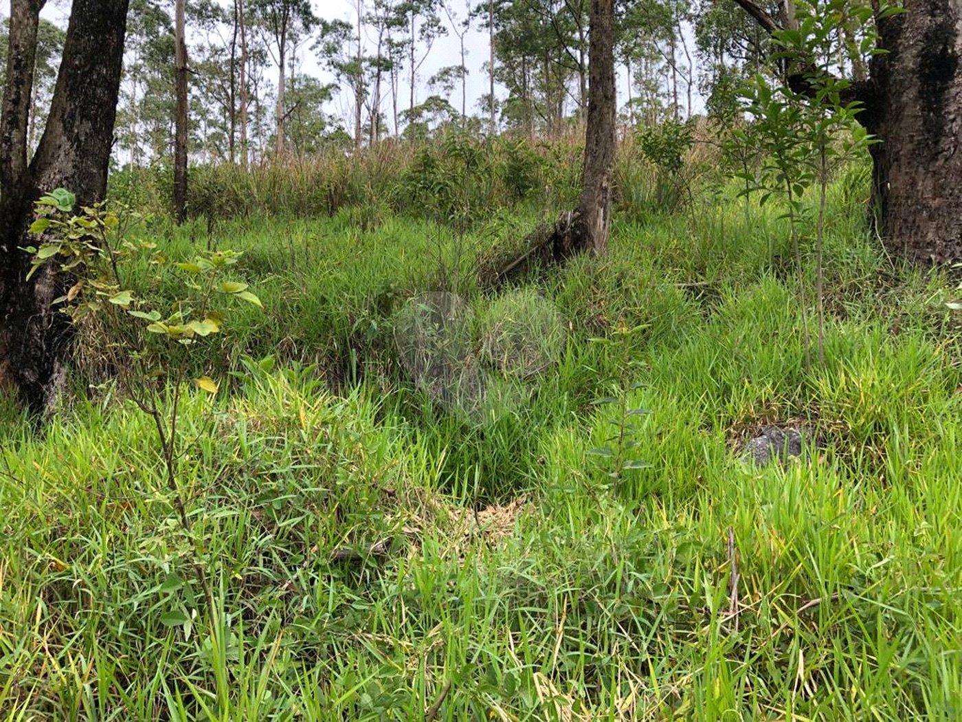 Terreno à venda no condomínio Gleba E1 E2, Mairiporã - SP