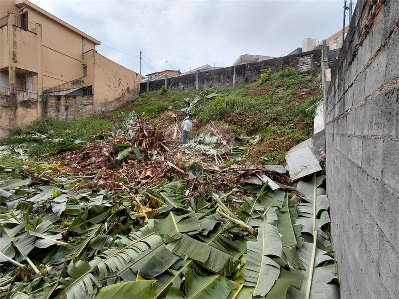 Terreno à venda em Tucuruvi, São Paulo, SP