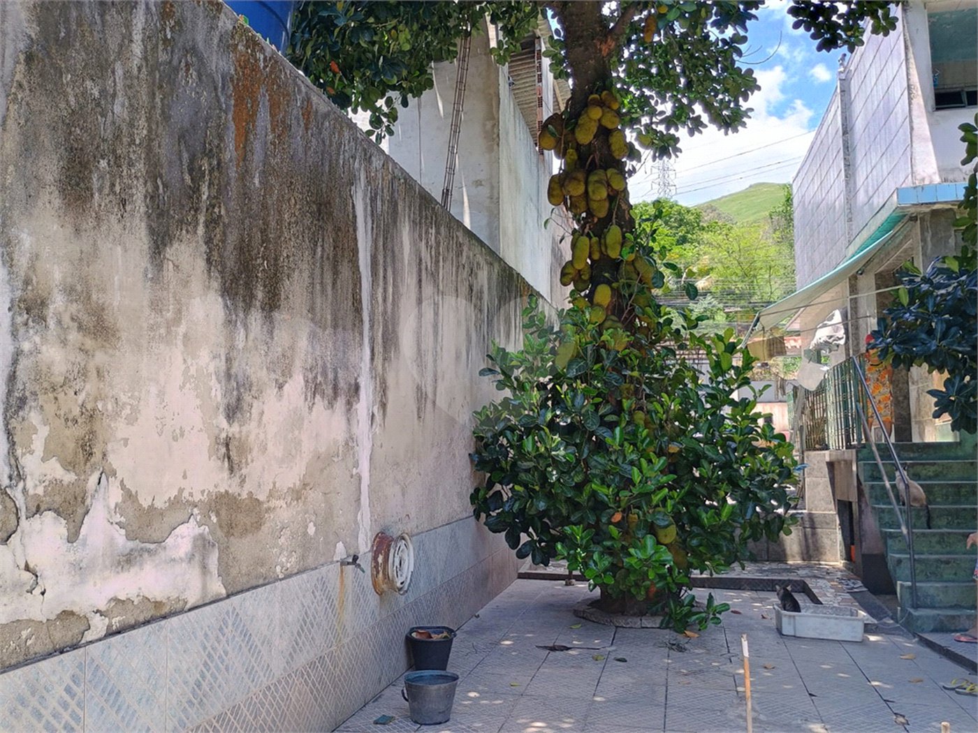 Casa à venda com 5 quartos em Senador Vasconcelos, Rio de Janeiro, RJ