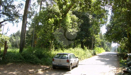 Casa Térrea à venda com 3 quartos em Vila Maria Alta, São Paulo, SP