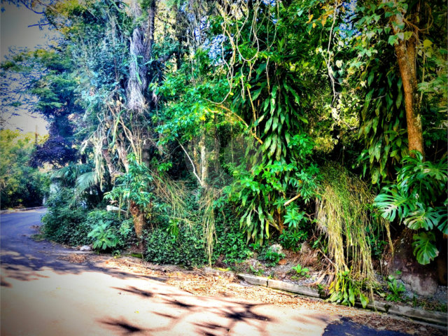 Terreno à venda em Serra da Cantareira, Mairiporã, SP