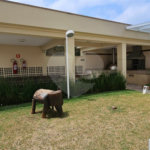Apartamento para alugar com 2 suítes em Jardim Ampliação, São Paulo, SP