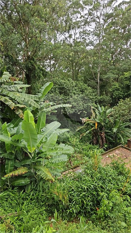 Terreno à venda em Vila Albertina, São Paulo, SP