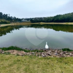 Terreno à venda com 1 suíte no condomínio Arboretum, Vinhedo - SP