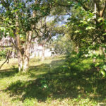 Chácara à venda com 5 quartos, sendo 1 suíte, em Estância São Luís, Suzano, SP