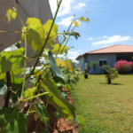 Casa de Alto Padrão no Residencial dos Lagos em Itupeva SP