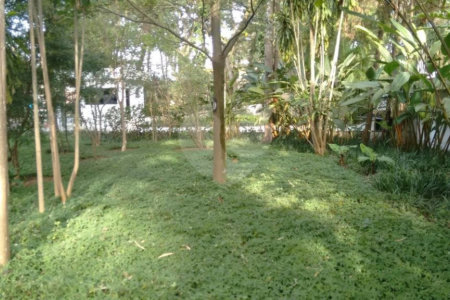 Apartamento à venda com 3 quartos, sendo 1 suíte, em Granja Julieta, São Paulo, SP