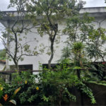 Terreno à venda ou para alugar em Horto, São Paulo, SP