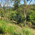 Terreno à venda em Bairro do Cambará, São Roque, SP