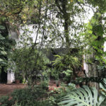 Sobrado à venda com 4 quartos, sendo 2 suítes,  em Vila Mariana, São Paulo, SP