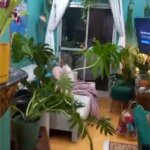 Apartamento à venda com 3 quartos, sendo 1 suíte, em Vila Medeiros, São Paulo, SP
