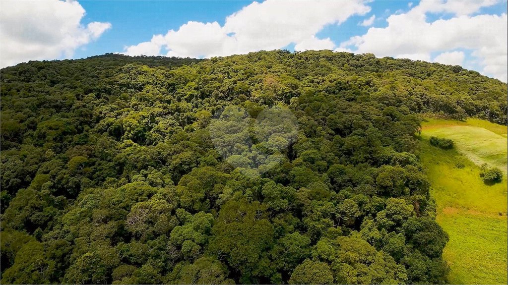 Terreno à venda em Gabriel Piza, São Roque, SP