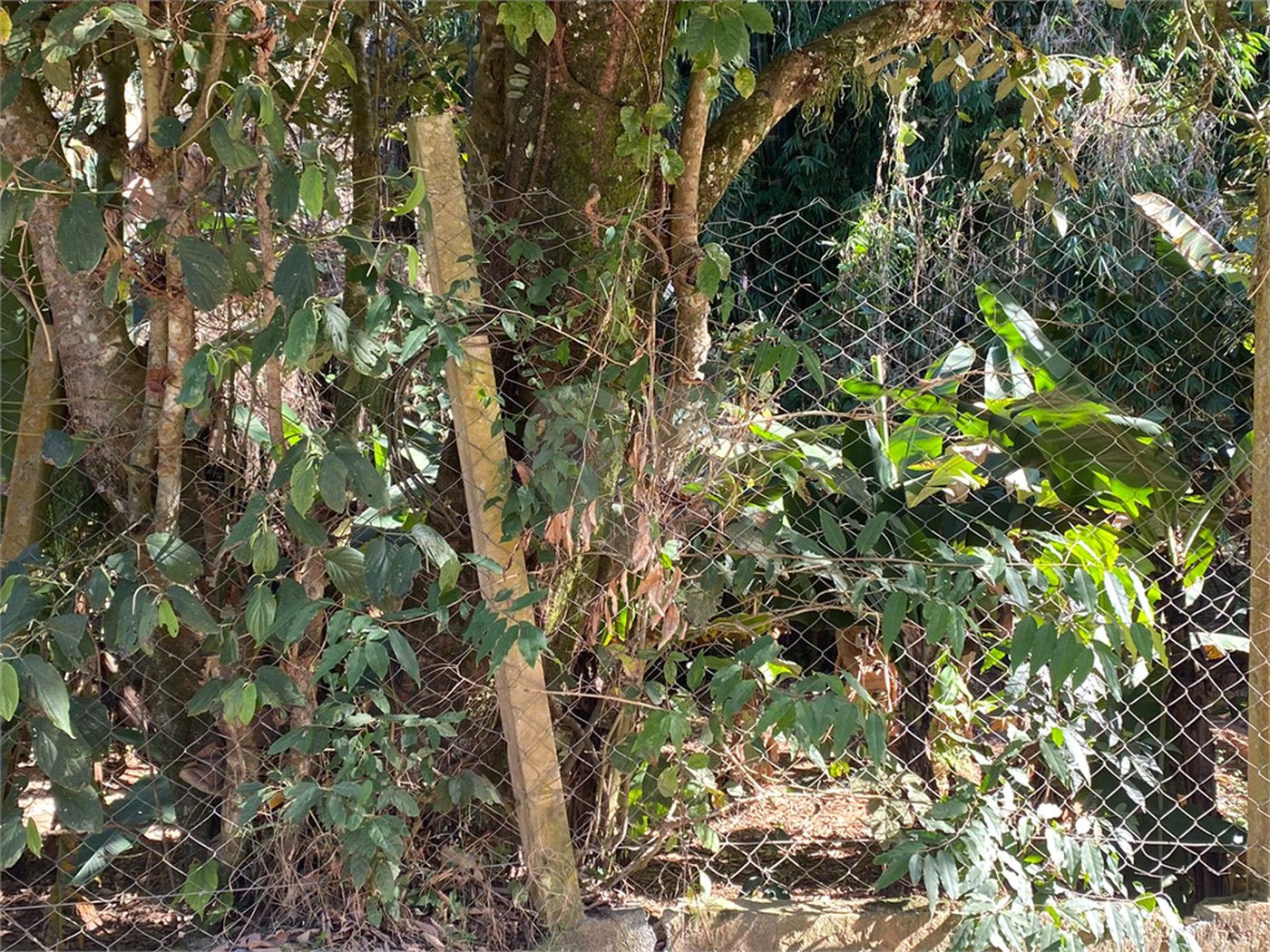 Terreno à venda em Luiz Fagundes, Mairiporã, SP