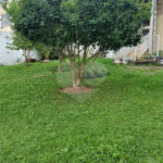 Casa Térrea à venda com 5 quartos, sendo 3 suítes, em Tremembé, São Paulo, SP