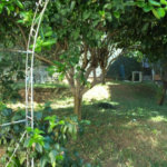 Chácara à venda com 5 quartos em Horto Florestal, São Paulo, SP