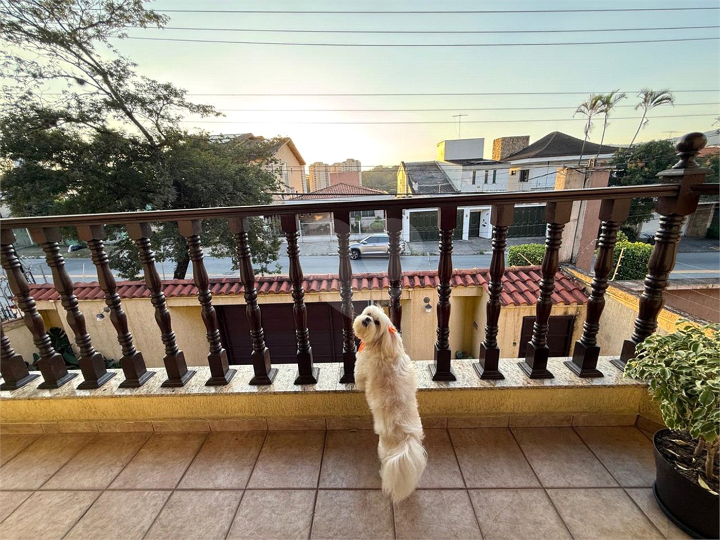 Sobrado à venda com 3 suítes em Barro Branco (zona Norte), São Paulo, SP