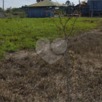 Terreno à venda em Vila Nastri, Itapetininga, SP