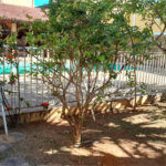 Casa à venda com 3 quartos, sendo 1 suíte, em Campo Grande, Rio de Janeiro, RJ