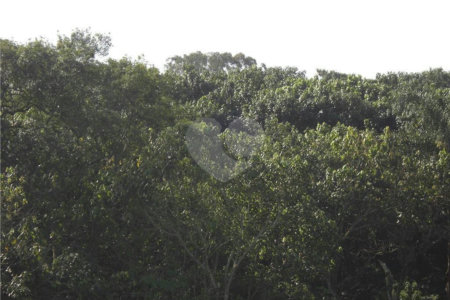 Área de Terra à venda em Porteira Preta, Mogi das Cruzes, SP