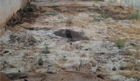 Terreno à venda com 3 quartos em Vila Monte Alegre, Ribeirão Preto, SP