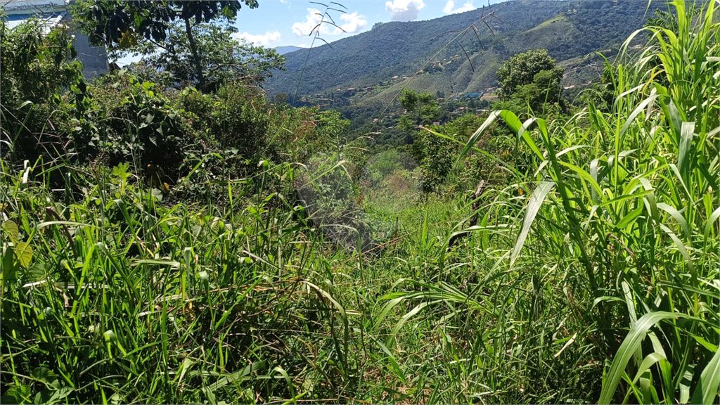 Terreno à venda em Luiz Fagundes, Mairiporã, SP