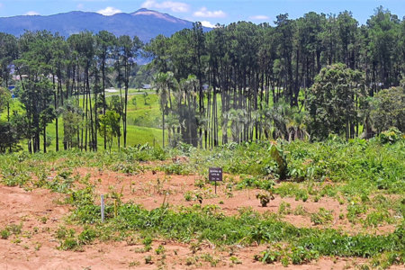 Terreno à venda no condomínio Estäncia Parque de Atibaia, Atibaia - SP